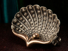 1890s French Shell Brooch