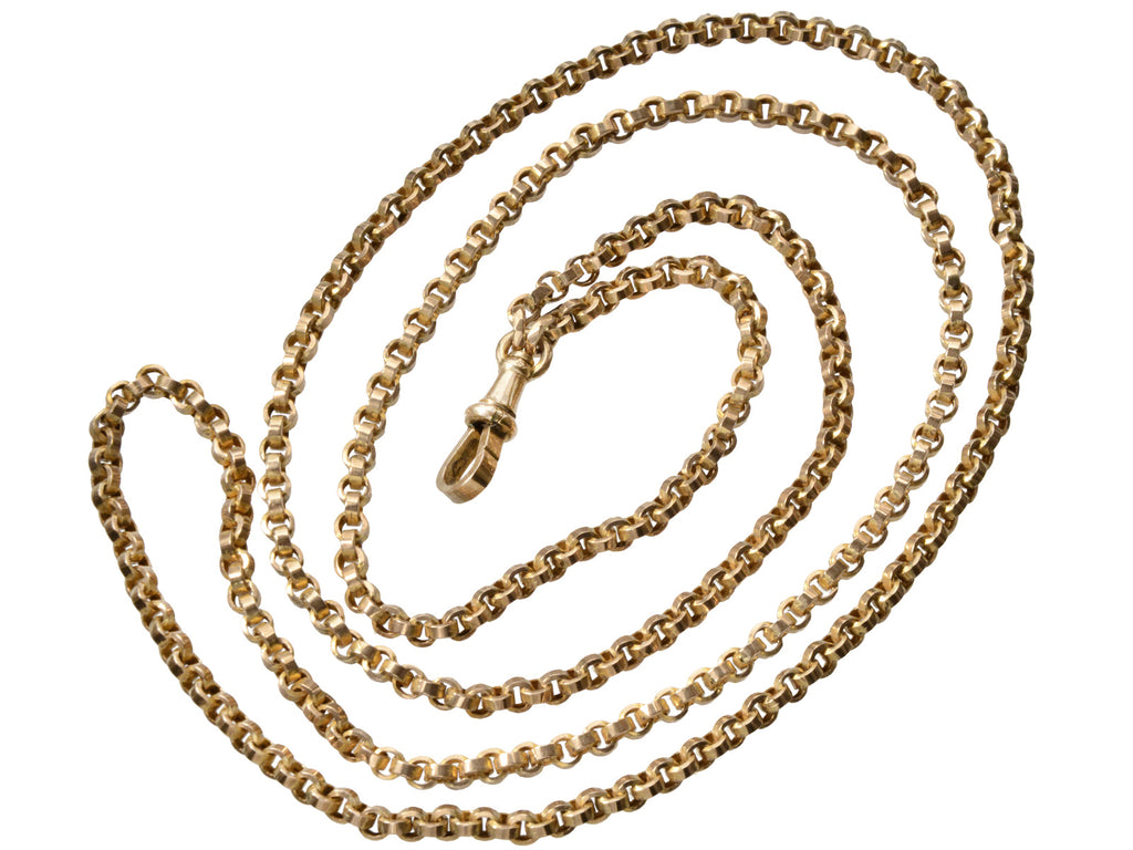 c1890 Long Victorian Chain (on white background)